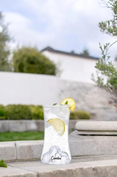 CAMBU TİTANİC MEŞRUBAT BARDAĞI 350 ML