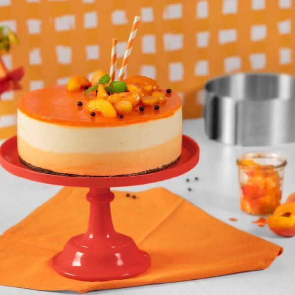 KAISER AYARLANABİLİR PASTA ÇEMBERİ 7*16,5*32 CM