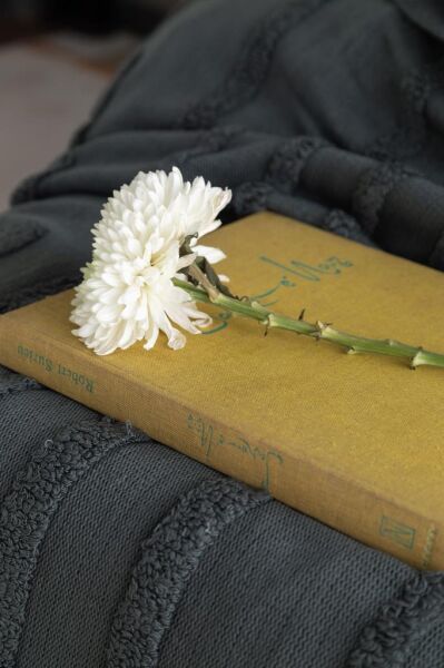 APRİCİTAS ÇİFT KİŞİLİK TRİKO BATTANİYELİ KREP NEVRESİM TAKIMI STAMPINO PETROL